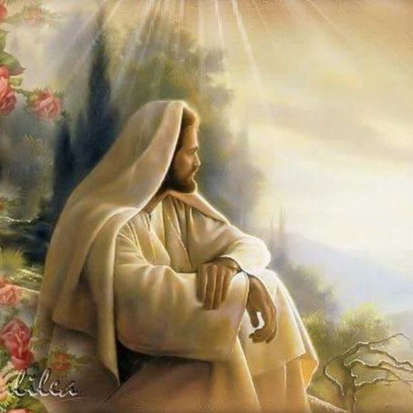 Meet your Posher, Lema - Picture 1 of 1